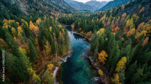 autumn river valley alpine forest