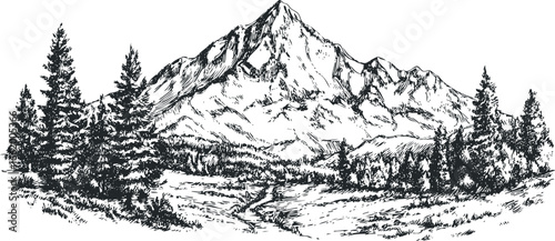 Detailed black and white sketch of majestic snow-capped mountains surrounded by evergreen trees