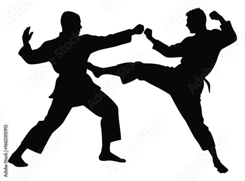 Silhouette of two karate fighters performing a kick and block in a competitive match