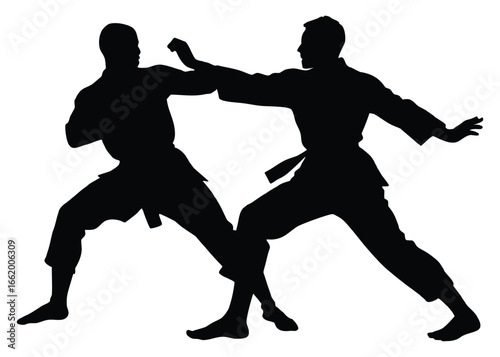 Silhouetted martial artists sparring and demonstrating self defense techniques in a dynamic action pose