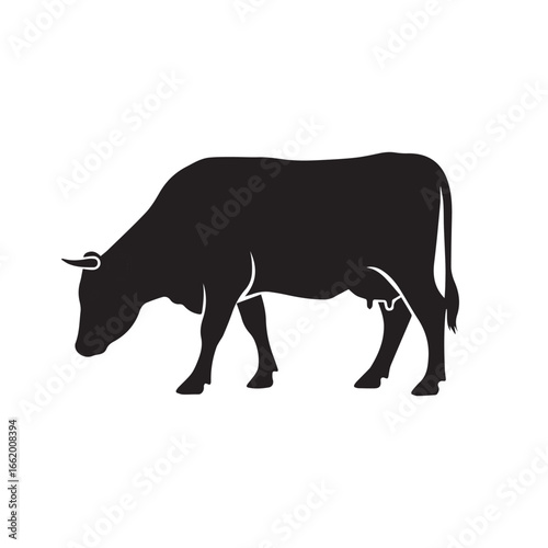 Black silhouette of a grazing cow isolated on white background