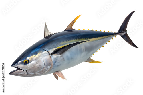 Isolated Yellowfin Tuna Fish on Black Background Ready for Seafood Preparation and Culinary Presentation Excellent Quality and Detail Showcase the Texture