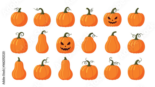 Autumnal Pumpkin Patch: A vibrant display of pumpkins in various shapes, and sizes. Each gourd radiates the festive spirit of autumn, conjuring imagery of seasonal harvests.