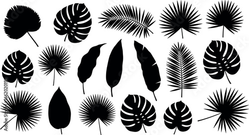 Tropical Foliage Silhouettes a curated collection of various leaf forms meticulously presented in striking silhouettes.