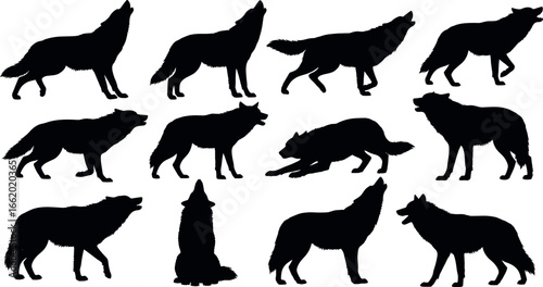 Wolf silhouettes. howling wolf silhouettes in various poses against a striking, simple background. capturing the essence of untamed wildness.