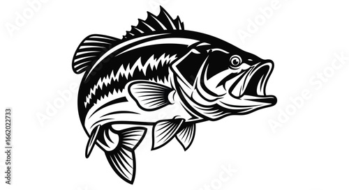 Dynamic largemouth bass leaping out of water in bold outline style vector