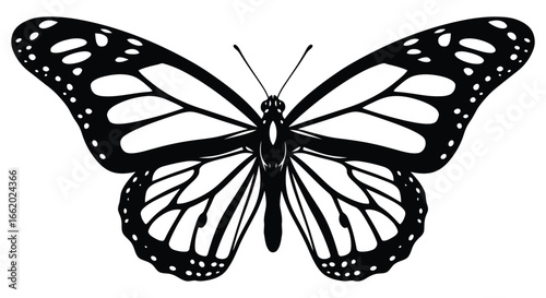 Detailed black and white monarch butterfly wing pattern with symmetry and natural beauty captured vector