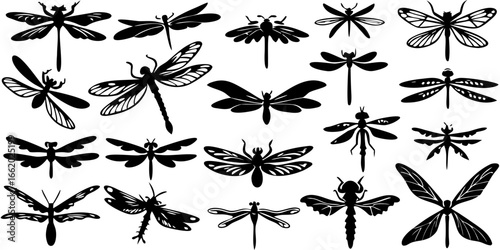 Black Silhouette Dragonfly Art for Nature Decor