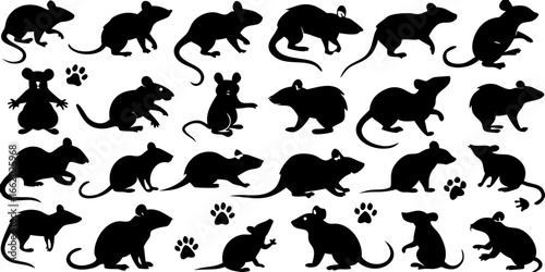 Black Rat Silhouette Patterns