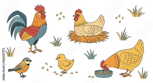 Cartoon farmyard friends illustration featuring chicken, chick, rooster, sparrow