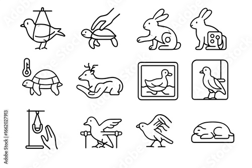Wildlife Therapy Icons. Line style icons of physical therapy for wildlife: walking sling, range of motion test, muscle stimulator