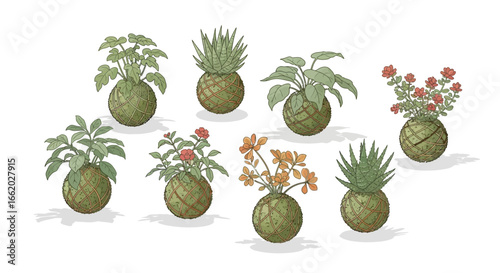 Delicate assortment of kokedama plants showcasing vibrant blossoms and verdant