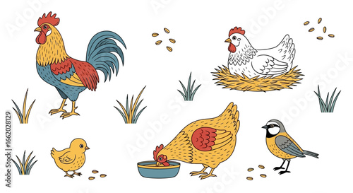 Charming cartoon farmyard illustration featuring rooster, hens, chick and wild