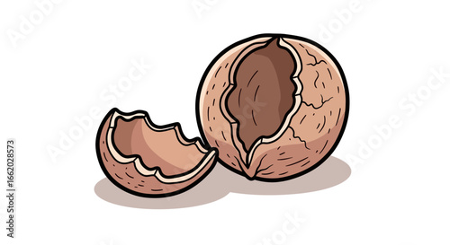 Cracked walnut shell illustration, depicting nature's empty vessel and fragility