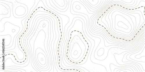 Image grid geographic relief topographic contour line maps cartography texture. Topographic map lines, contour background. Background of the topographic map
