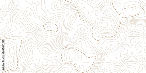 Topographic map lines, contour background. Background of the topographic map. Image grid geographic relief topographic contour line maps cartography texture
