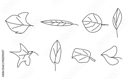 Leaves outline collection on white background