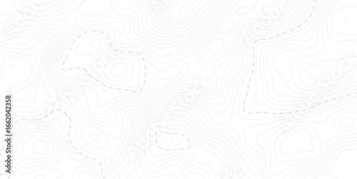Topographic map lines, contour background. Background of the topographic map. Image grid geographic relief topographic contour line maps cartography texture

