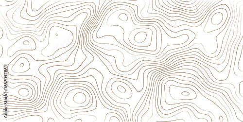Topographic map lines, contour background. Background of the topographic map. Image grid geographic relief topographic contour line maps cartography texture
