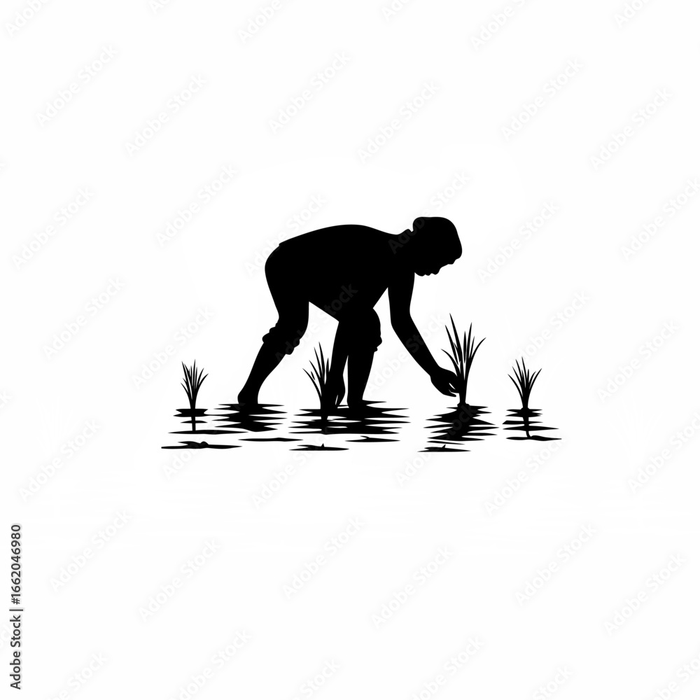 Fototapeta premium Farmer bending down, planting rice seedlings, one hand steady, other hand pushing seedling into mud silhouette on white background
