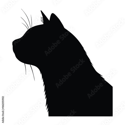 silhouette of a American Shorthair cat isolated on clean  white background