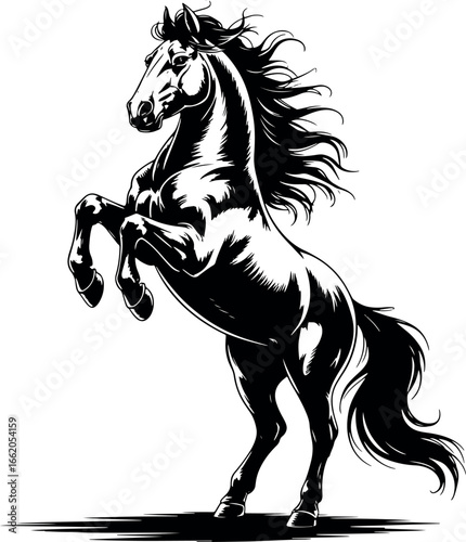 Majestic Black Horse Rearing Up Detailed Vector Illustration for Design and Graphics Projects with Bold Black and White Contrast