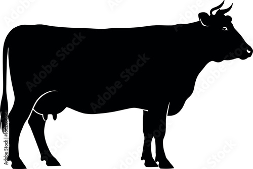 Sleek silhouette of a horned cow standing profile, perfect for farm branding or minimalist designs, clean and modern