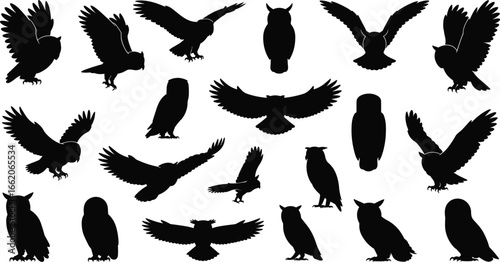 Owl silhouettes collection, flying and perched, nocturnal bird, raptor species, wildlife art, vector illustration, nature design, animal icon, forest habitat, avian predator