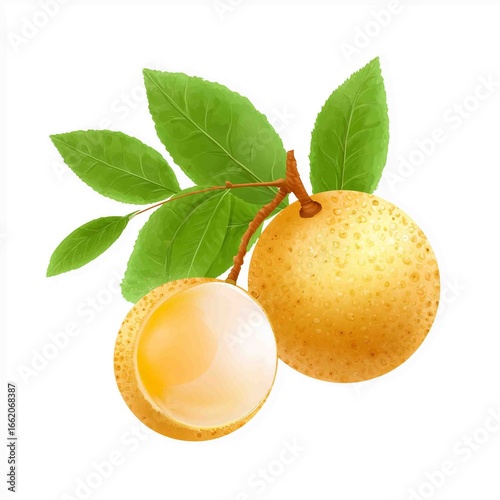 Longan Branch: A vibrant close-up depicts two longan fruits, one halved to reveal its succulent flesh, adorning a branch with lush green leaves.