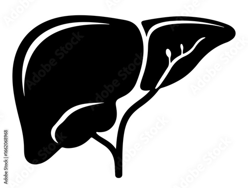 Gallbladder icon silhouette attached to liver, simplified