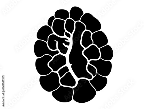Pineal gland icon silhouette in minimal black form, on white background