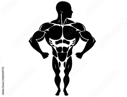 Silhouette icon of muscular system with simplified muscle groups, black on white