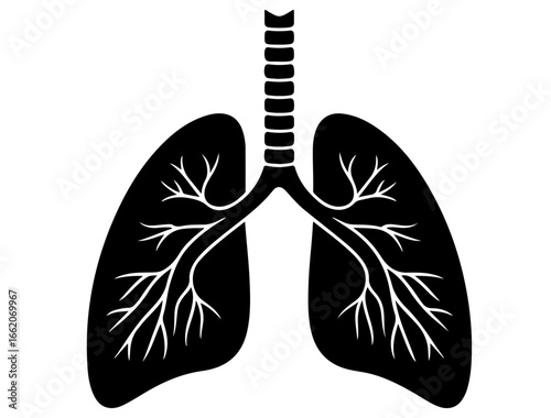 Silhouette icon of the lungs with trachea and bronchi, black on white background