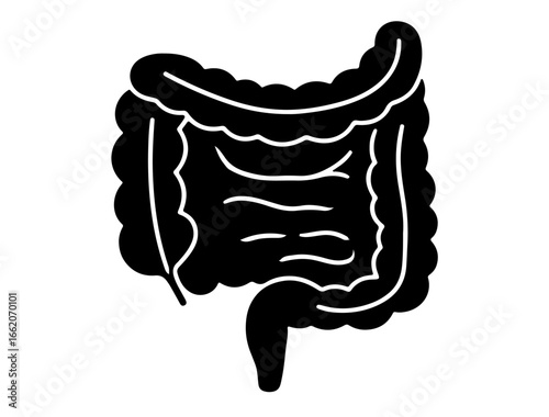 Simplified black icon of the heart with main arteries and veins, on white background
