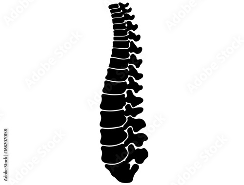 Small intestine icon silhouette in coiled form, black on white backgroun