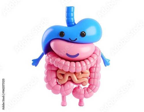 A delightful illustration of a friendly digestive system, showcasing healthy internal organs with cute faces.