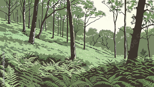 woodland-fern-valley-valley-floor-dense-.eps