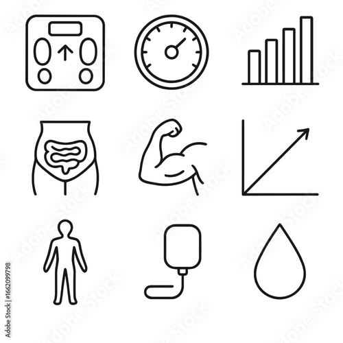 Body Composition Icons. Line style icons of Body Composition Analysis: bioimpedance scale, body fat percentage dial, lean mass bar