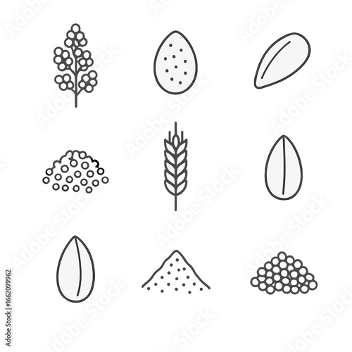 Ancient Seeds Icons. Outline style icon of Ancient Power Seeds: amaranth grain, quinoa cluster, chia seed, teff seed pile, spelt