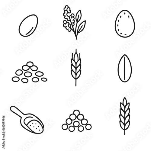 Ancient Seeds Icons. Outline style icon of Ancient Power Seeds: amaranth grain, quinoa cluster, chia seed, teff seed pile, spelt