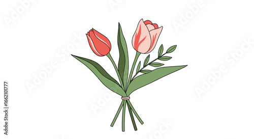Delicate tulip bouquet illustration for spring celebration and easter holiday design elements