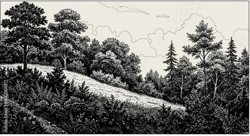 forest landscape illustration a serene forest landscape illustration with sunlight on a grassy hill perfect for nature blogs promoting outdoor activities and scenic wallpapers.