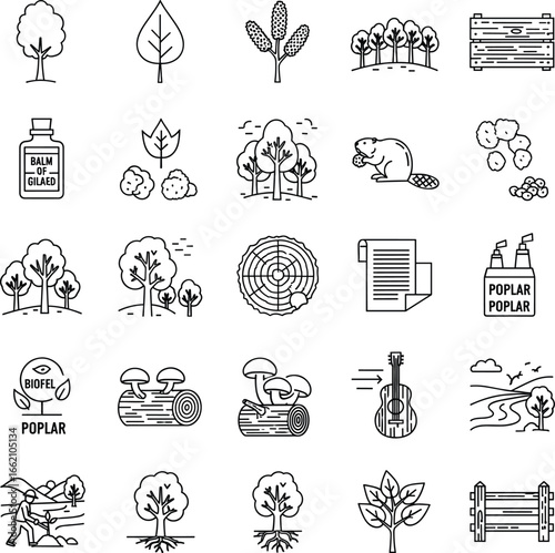 Poplar tree icons set, forestry and wood industry vector graphics, sustainable nature outline symbols, logging and biofuel pictograms, eco environment and plantation illustration