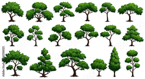 cartoon trees various cartoon trees in different shapes and sizes isolated on white ideal for illustrating a childrens book or educational materials