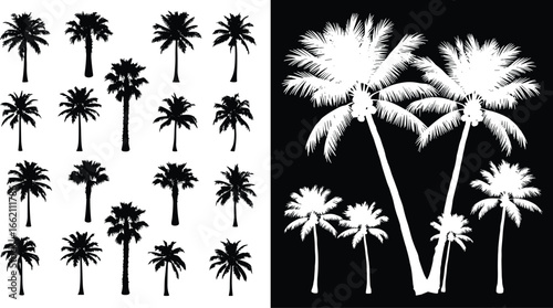 Collection of Palm Tree Silhouettes in Black and White Vector Style for Tropical, Nature, Landscape, Summer, and Beach Design Themes