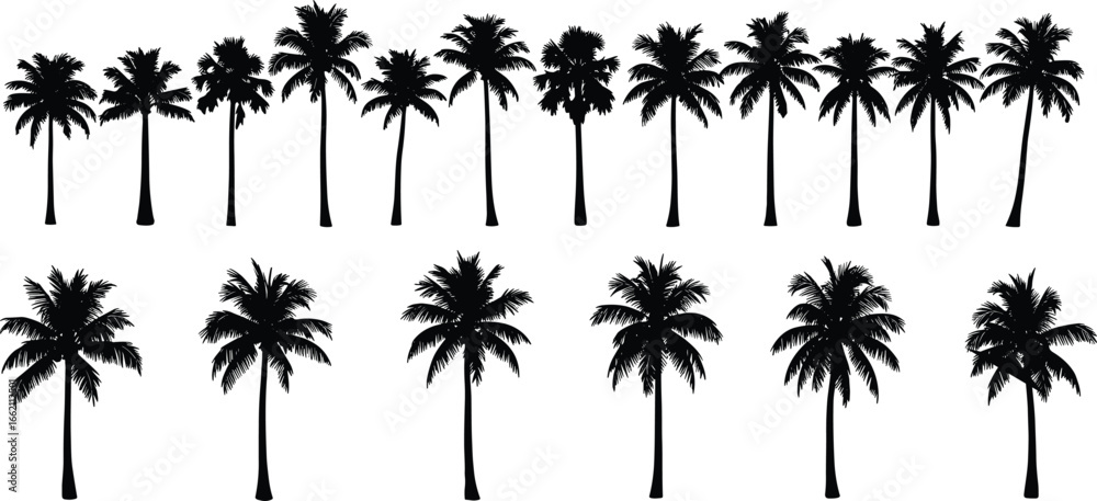 Fototapeta premium Palm Tree Silhouette Vector Set Featuring Tropical Island Trees for Summer, Jungle, Beach Landscape, Paradise Design, and Exotic Illustration