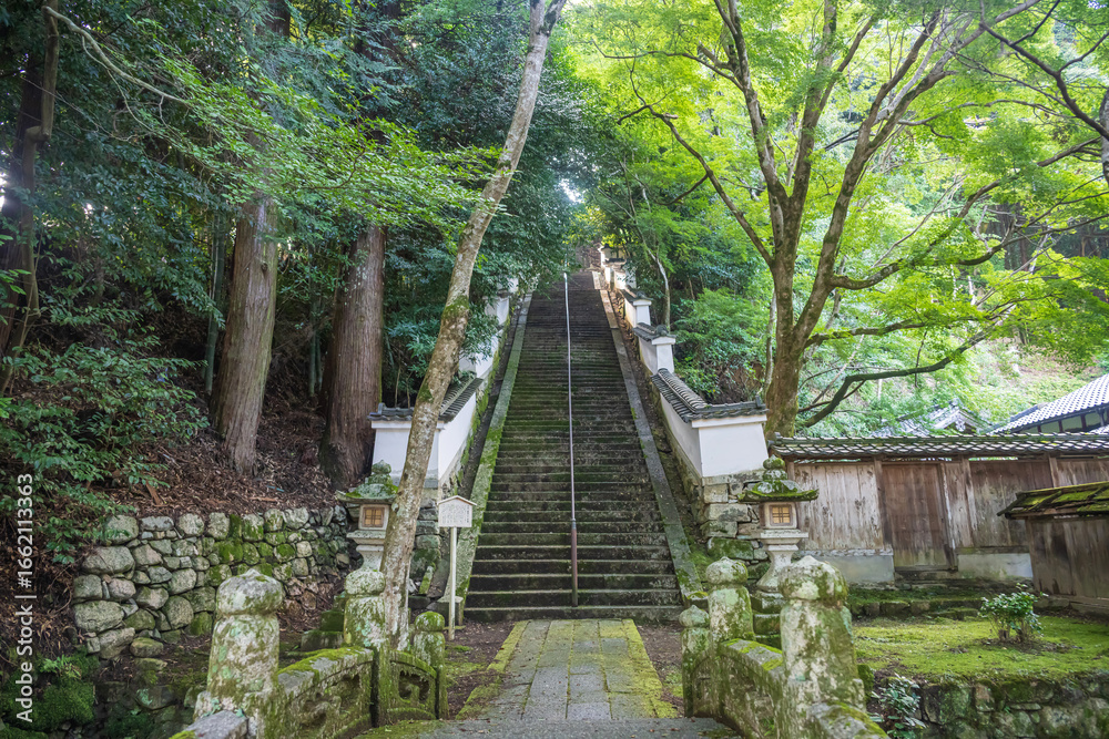 Naklejka premium 滋賀大津 西教寺 真盛上人廟への石段