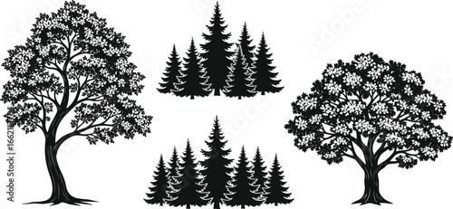 Vector silhouette of large leafy trees and pine tree clusters, perfect for nature designs, forest themes, landscaping, and outdoor projects.