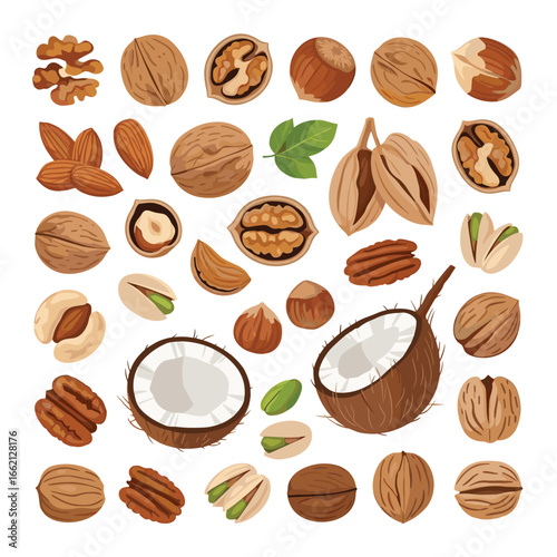 A comprehensive collection of assorted nuts and healthy seeds for culinary and nutritional purposes