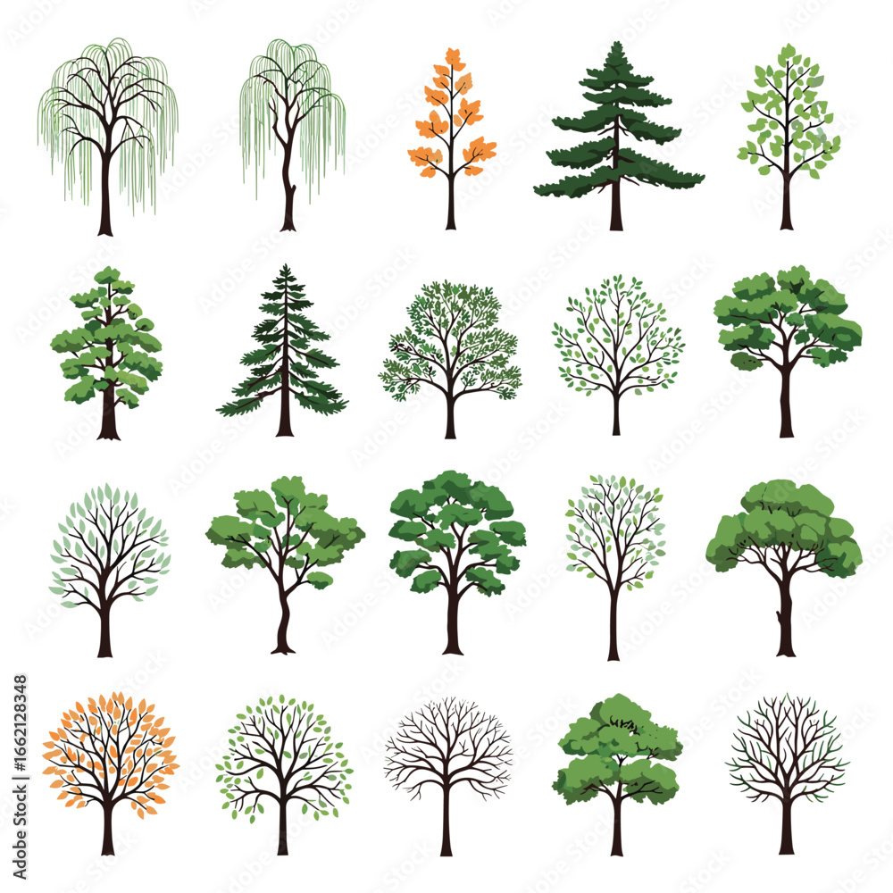 Fototapeta premium A diverse collection of trees showcasing various species and seasonal transformations throughout the year